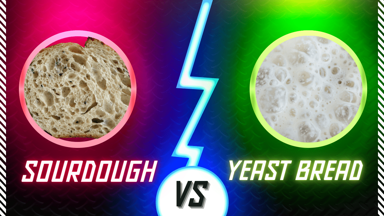 Sourdough vs Yeast Bread